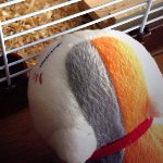 mtfrctl profile icon